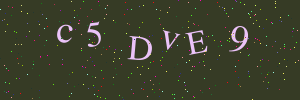 Validation image